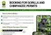How to Safely Book Gorilla and Chimpanzee Permits in Uganda
