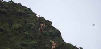 Uganda Wildlife Authority Reopens Sabinyo Hiking Trail with New Ladders