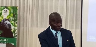 Uganda Plans to Increase Gorilla Permits to $1,000