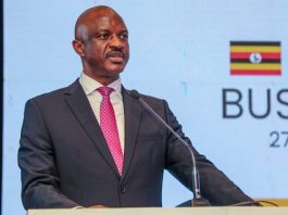 Uganda Seeks Investors for Rwenzori Mountains Cable Car Project