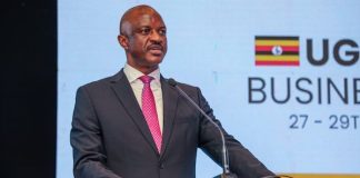 Uganda Seeks Investors for Rwenzori Mountains Cable Car Project