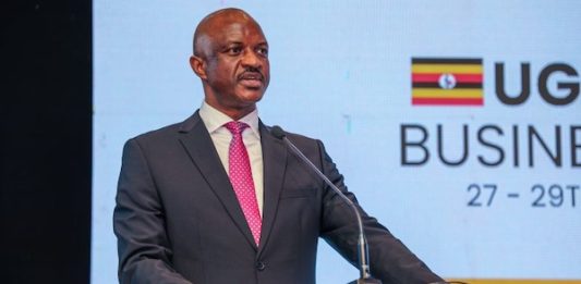 Uganda Seeks Investors for Rwenzori Mountains Cable Car Project