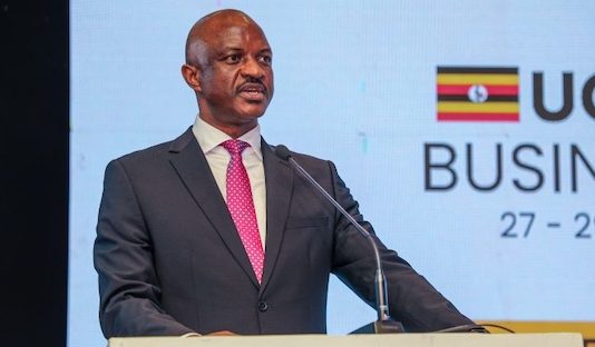 Uganda Seeks Investors for Rwenzori Mountains Cable Car Project