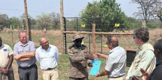 Uganda Launches New Rhino Sanctuary in Kidepo Valley Conservation Area
