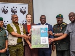 Greater Virunga Lions Face Decline From Habitat Loss WWF meeting