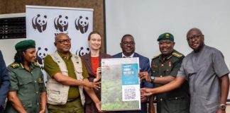 Greater Virunga Lions Face Decline From Habitat Loss WWF meeting