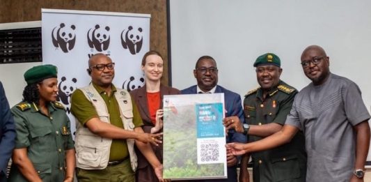 Greater Virunga Lions Face Decline From Habitat Loss WWF meeting